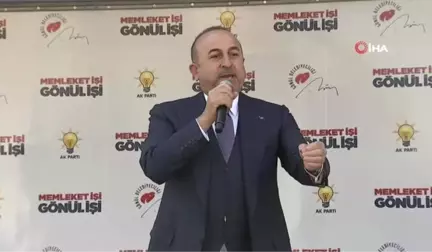 Çavuşoğlu: 