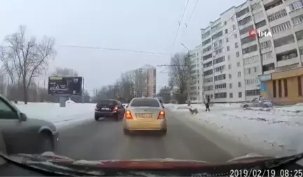 Köpeğin Yardımına Polis Koştu