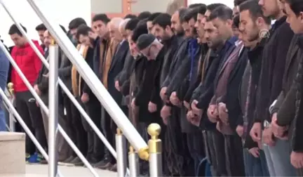 Mısır'daki 9 İdama Tepki