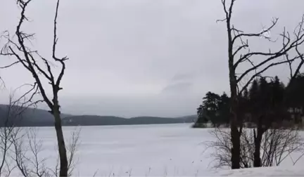 Abant'ta Çiğdemler Çiçek Açtı - Bolu