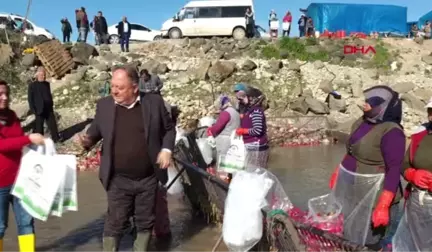 Osmaniye Başkan Tarhan Soğuk Suda Çalışan Kadınları Unutmadı