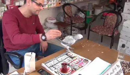 Kütahya Papağan Paşa Simav Şivesiyle İlgi Odağı Oldu
