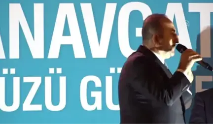 Çavuşoğlu: 