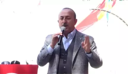 Bakan Çavuşoğlu: 