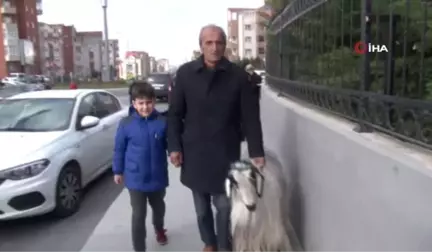 Oy Vermeye Keçisiyle Geldi
