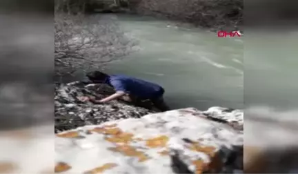 Kahramanmaraş Hurman Çayı'nda Mahsur Kalan Koyunu Öğretmen Kurtardı