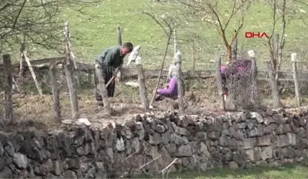 Karabük Kavgadan Dolayı Kaydı Bulunduğu İçin Mazbatasını Alamadı