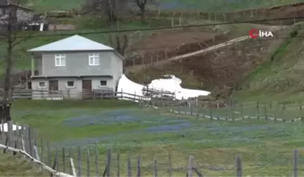 Mor Yayla'nın Mavi Yıldız Çiçekleri Kendini Göstermeye Başladı