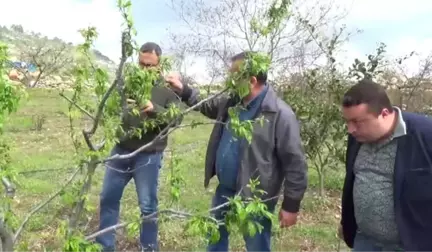 Erdemli'de Doludan 2,5 Milyon Zarar Belirlendi