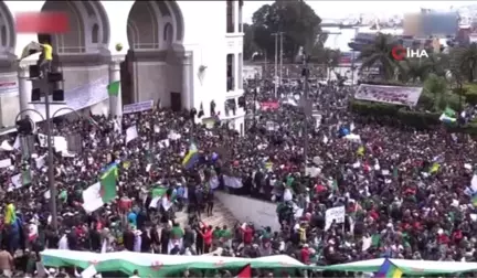 Cezayir'de Protestolar Sürüyor