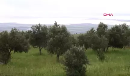 Hatay'da Yağış, Sel ve Su Baskınlarına Yol Açtı