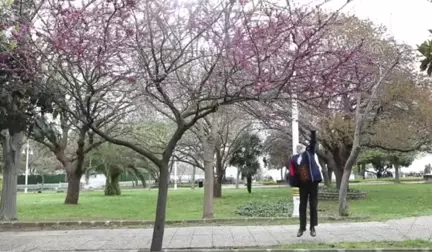 İstanbul'un Görsel Şöleni 