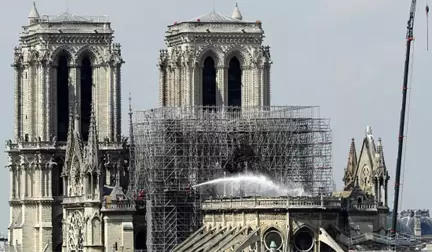 Notre-Dame'daki Arılar Yangından Sağ Kurtuldu