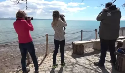 Van'da Fotoğraf Etkinliği