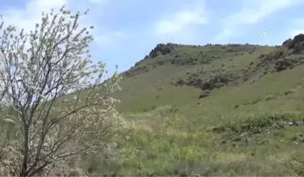 Sakarya Şehitleri Yürüyüşle Anıldı