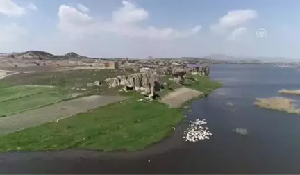Frigya'nın Yeni Konukları