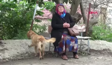 Rize Selim Yağız'ın Babaannesi Torunuma Bir Şey Olsaydı Yaşayamazdım