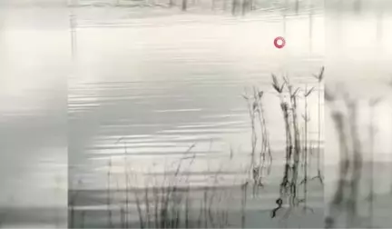 Büyükçekmece Gölü'ne Giren Bir Kişi Kayboldu...şahsın Kaybolduğu Bölge Havadan Görüntülendi