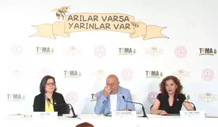 Arılar Varsa Yarınlar Var