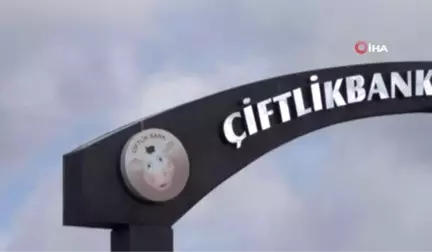 Çiftlik Bank'ın Üçüncü Duruşmasında 51 Mağdur Dinlendi