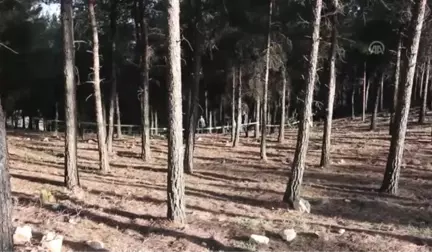 Evdeki Kan İzleri ve Bıçak Cinayeti Aydınlattı