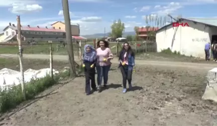 Muş Fotoğraflarını Çektikleri Yarış Atlarına Elme ve Şeker Yedirdiler