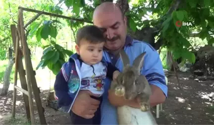 Bu Tavşanı Görenler Gözlerine İnanamıyor