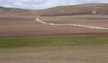 Sahadaki Başarı Kamikaze İha'lara Talebi Artırdı (3)