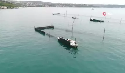 İstanbul'un Son Dalyanı Havadan Görüntülendi