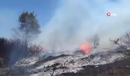 Orman Ekipleri Yangın Sezonuna Hazır