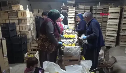 NEVŞEHİR Limonlar, Kapadokya'da kayadan oyma doğal depolarda korunuyor