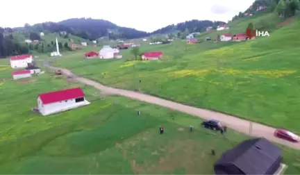 Mor Yayla bu sefer sarıya büründü...Manzara havadan görüntülendi