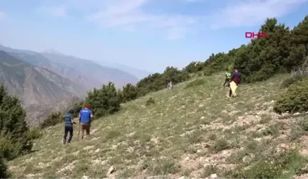 ERZURUM 'Çaşır' otunda şifa arıyorlar