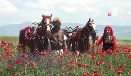 Van Gölü sahilindeki gelincik tarlaları doğal fotoğraf stüdyosuna dönüştü