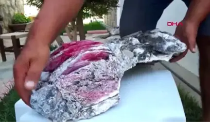 MUĞLA BU KEZ 'FOSİL' BULDU