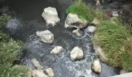 Burhaniye'de yazlıkçılar dere kirliliğine tepki için yol kapattı