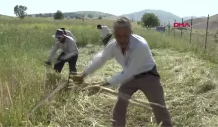 HAKKARİ İMECE USULÜ İLE OT BİÇİYORLAR