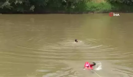 Sakarya Nehri'ne düşen vatandaşların kurtarılma anları nefes kesti