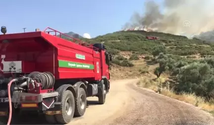 Tire'de makilik yangını