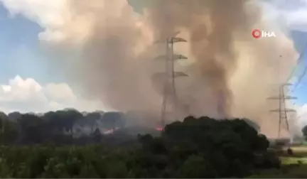 Hasdal askeri bölge yakınında bulunan ormanlık alanda yangın çıktı.