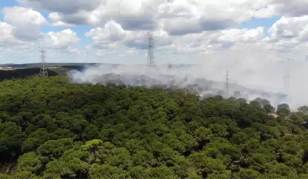 Hasdal'da askeri alandaki ormanda yangın