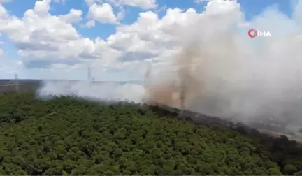 Hasdal'da askeri alandaki ormanlık alanda yangını devam ediyor