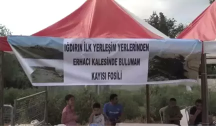 Kayısı fosili bulunduğu iddiası