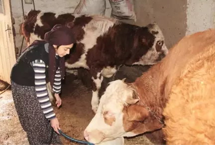 Çemişgezekli Ayşenur Türkiye 3'üncüsü Oldu