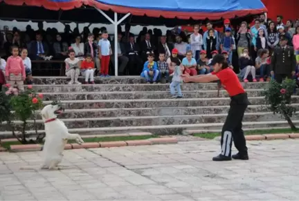 Tunceli'de Jandarmanın Dedetör Köpekleri Nefes Kesti 2