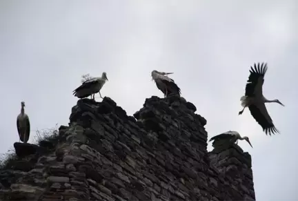 Topkapı Surlarında Göç Molası