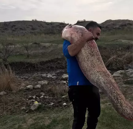 Iğdır'da 100 Kiloluk Yayın Balığı Yakalandı