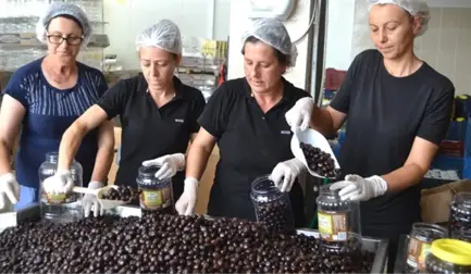 Ayvalık'tan Hong Kong'a 150 Bin Dolarlık Zeytin Gönderildi