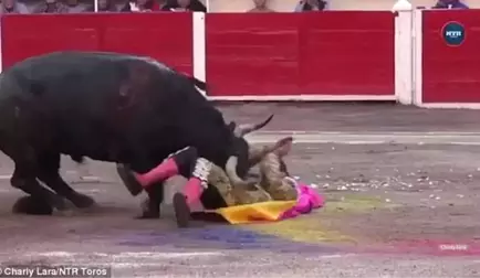 Meksika'da Boğa Güreşinde Ağır Yaralanan Matador, Arenaya Dönüp Boğayı Öldürdü