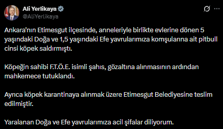 İki küçük çocuğa dehşeti yaşatan pitbullun cinsi köpeğin sahibi tutuklandı